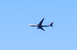 Turkish Airlines готовится к возобновлению работы аэропорта Стамбула