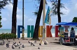 Чаще всего коронавирус на Пхукет привозят россияне