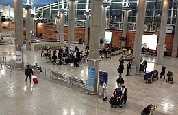 Осенью москвичи смогут недорого слетать в Иран