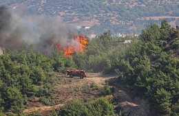 В туристическом районе Турции снова загорелся лес