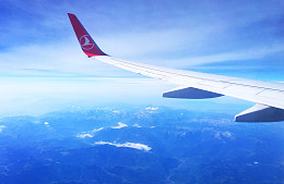 Минтранс сократил программу полетов Turkish Airlines в Турцию