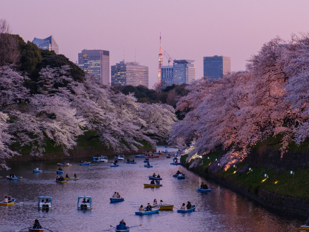 0125_япония5.jpg 0125_япония5.jpg