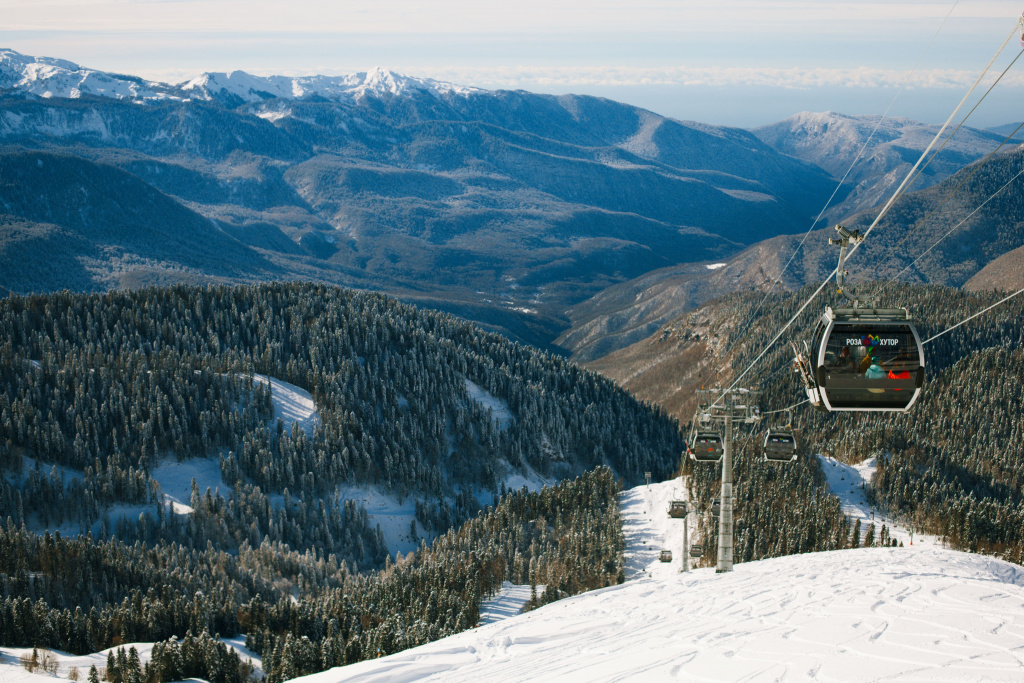 _MG_7100-2.jpeg _MG_7100-2.jpeg