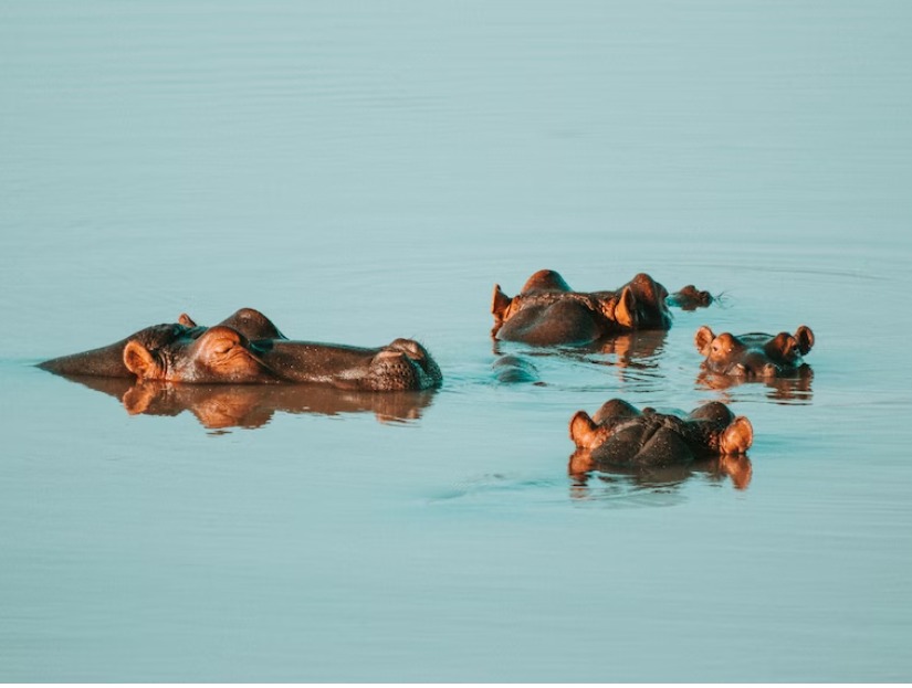 f25c4e66-bf27-4261-8a60-9e36b3bf7851.jpg f25c4e66-bf27-4261-8a60-9e36b3bf7851.jpg