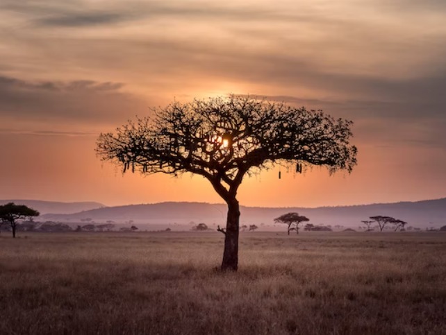 01ddd992-04e3-4354-b076-4e60d446ed8f.jpg 01ddd992-04e3-4354-b076-4e60d446ed8f.jpg