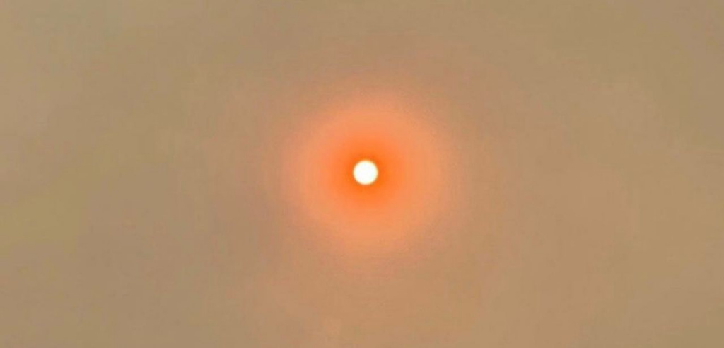 2021-08-11 20.56.32.jpg 2021-08-11 20.56.32.jpg