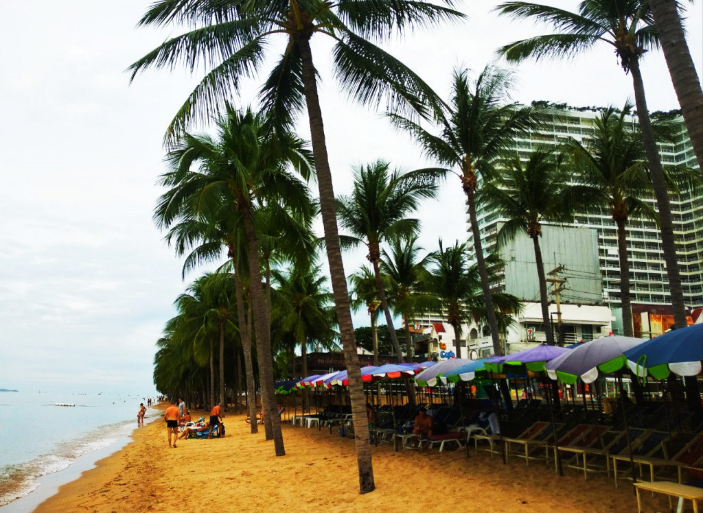 WhatsApp Image 2022-11-19 at 13.57.00 (1).jpeg WhatsApp Image 2022-11-19 at 13.57.00 (1).jpeg