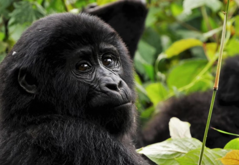 WhatsApp Image 2022-10-21 at 15.44.50.jpeg WhatsApp Image 2022-10-21 at 15.44.50.jpeg